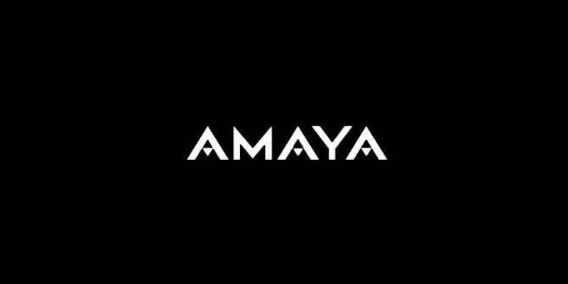 Amaya Gaming’s Success in the Industry